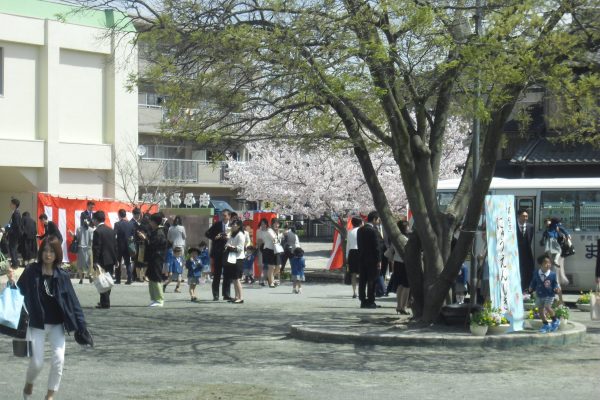 まふみ幼稚園の年間行事アルバム