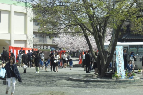 まふみ幼稚園の年間行事アルバム