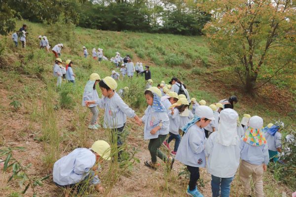 まふみ幼稚園の年間行事アルバム