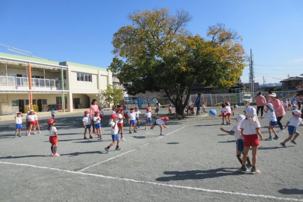 まふみ幼稚園の遊びと学び