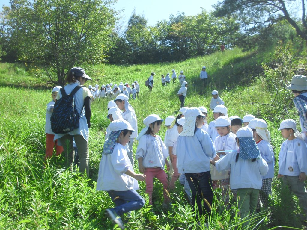 まふみ幼稚園のブログ