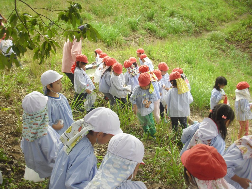 まふみ幼稚園のブログ