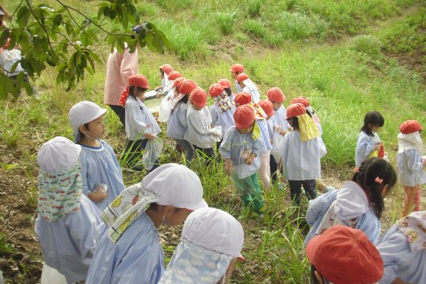 まふみ幼稚園のブログ