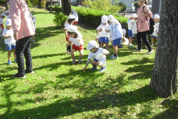 まふみ幼稚園のブログ