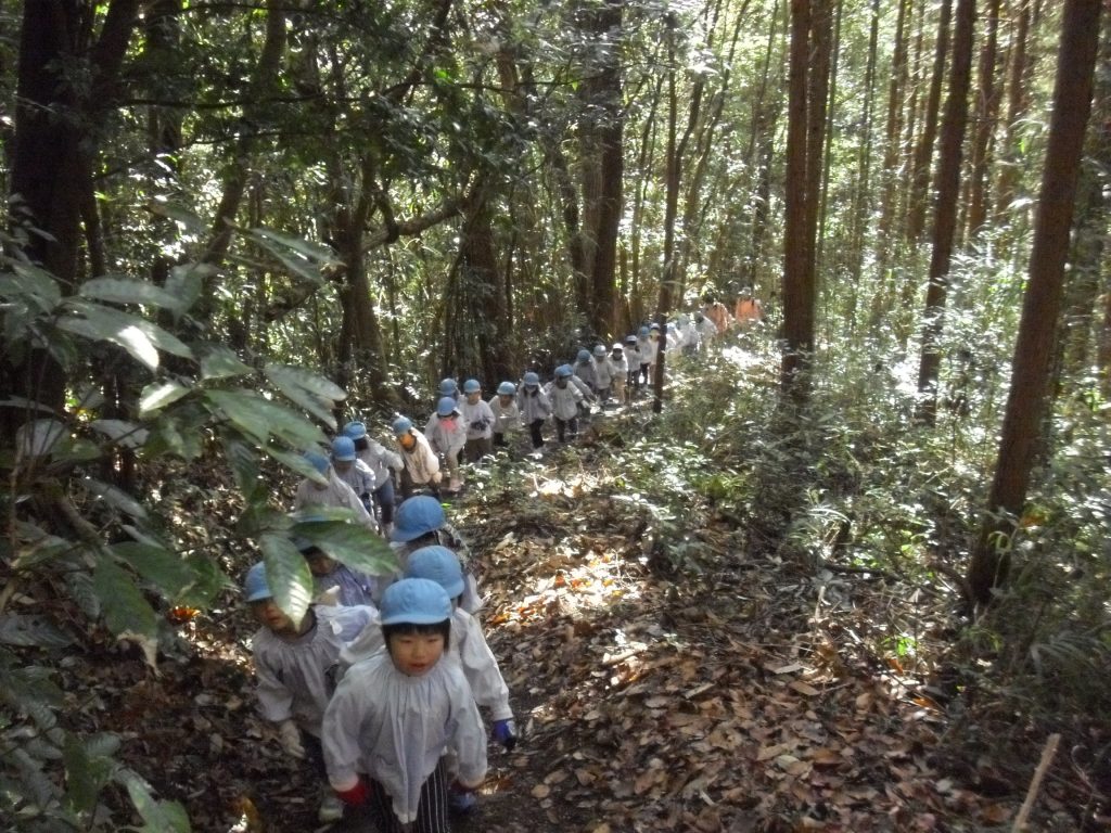 まふみ幼稚園のブログ