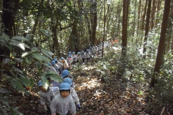 まふみ幼稚園のブログ