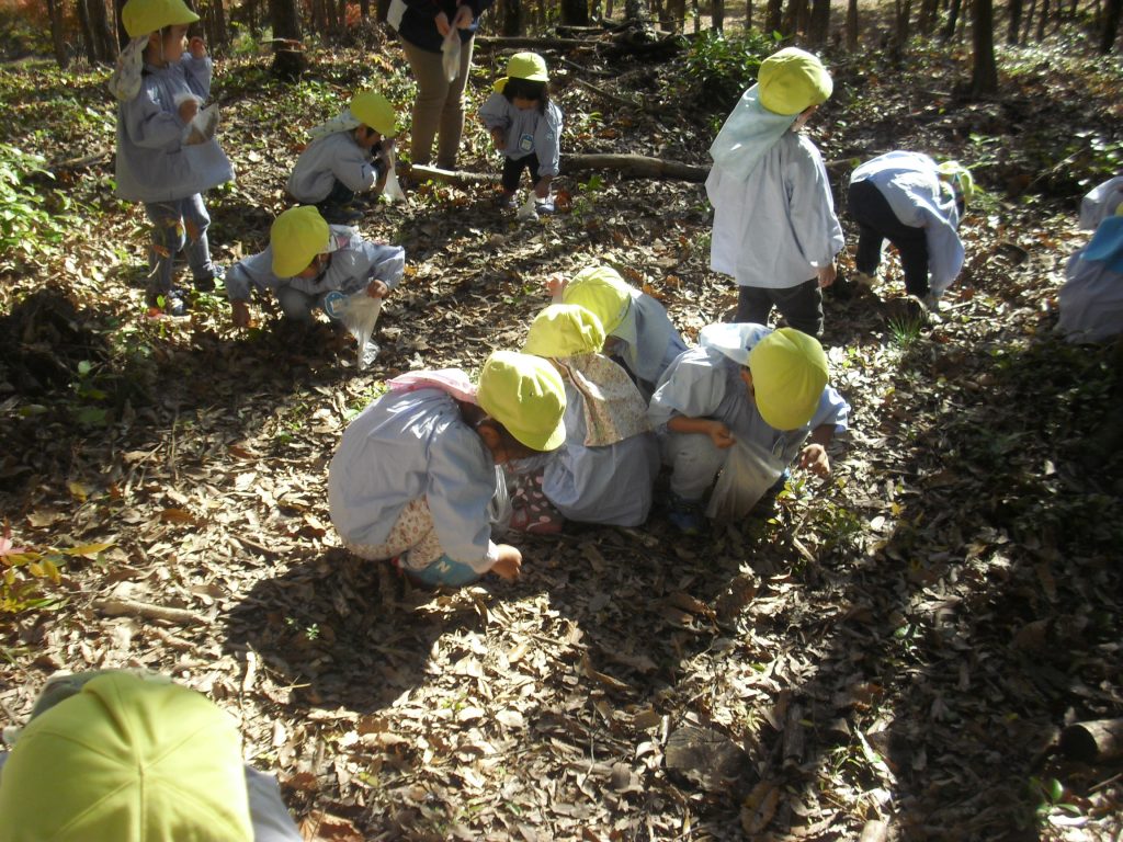 まふみ幼稚園のブログ