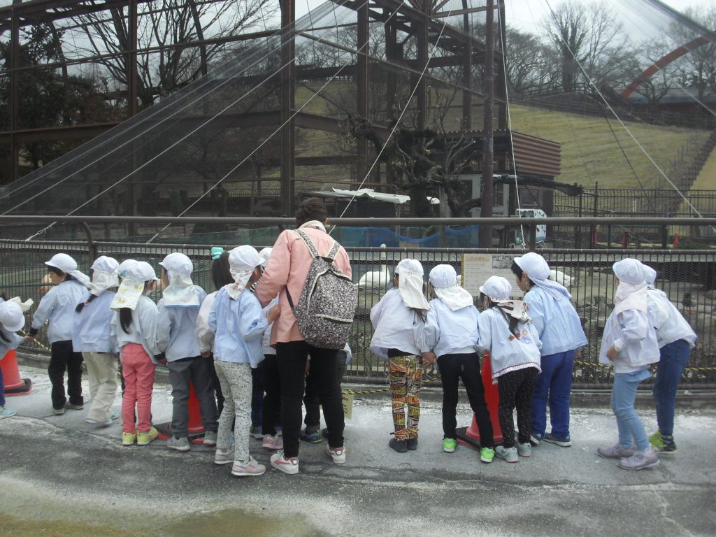 まふみ幼稚園のブログ