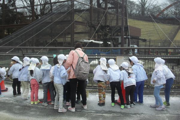 まふみ幼稚園のブログ