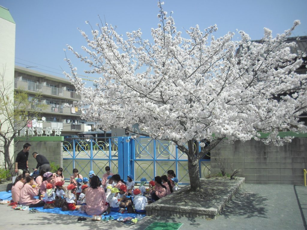 まふみ幼稚園のブログ