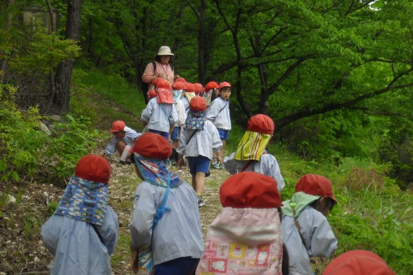 まふみ幼稚園のブログ