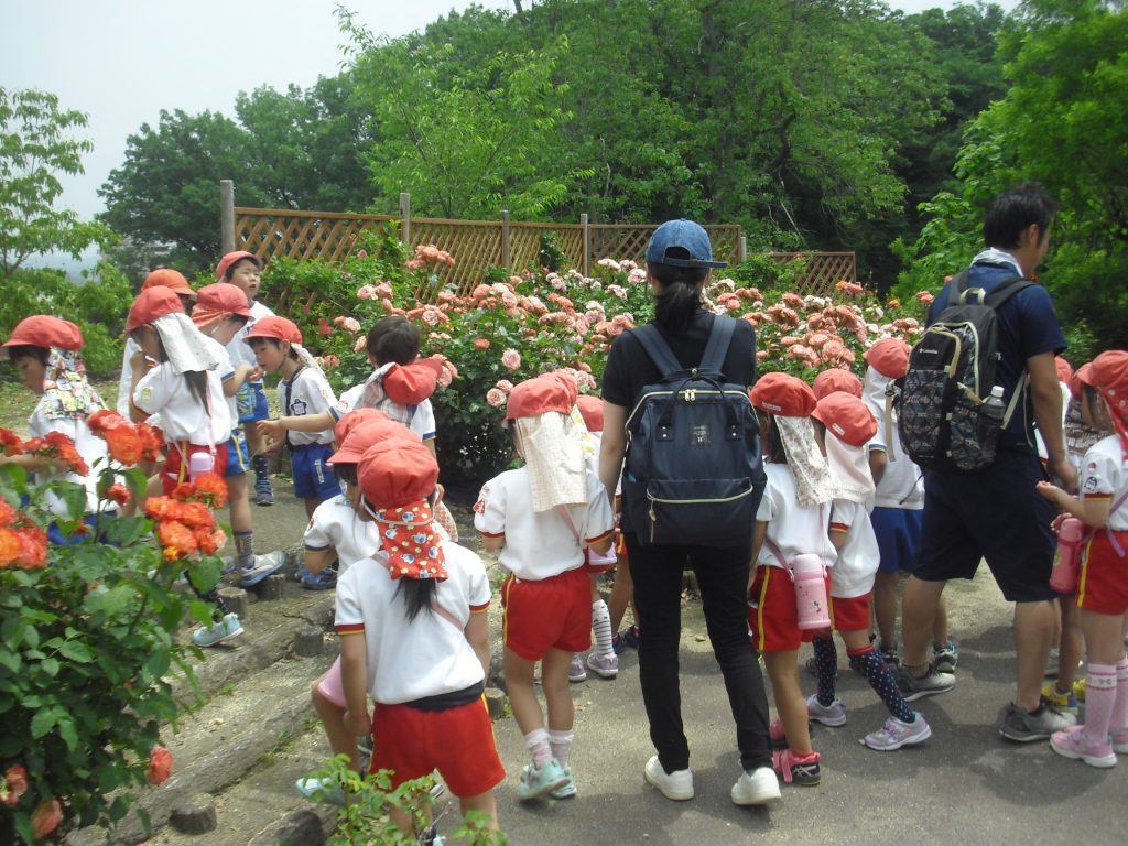 まふみ幼稚園のブログ