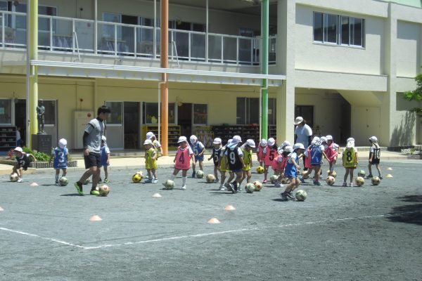 まふみ幼稚園のブログ