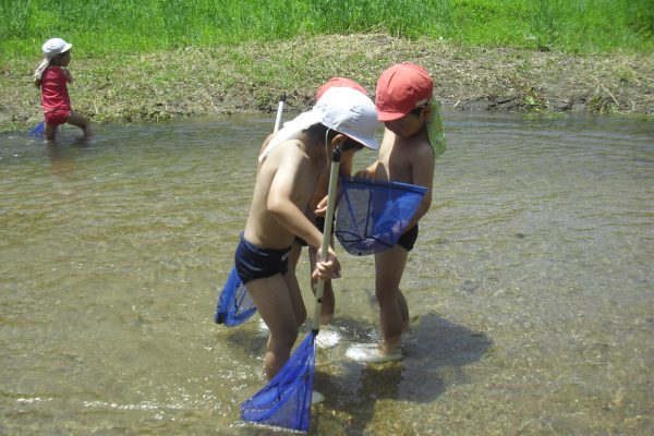 まふみ幼稚園のブログ