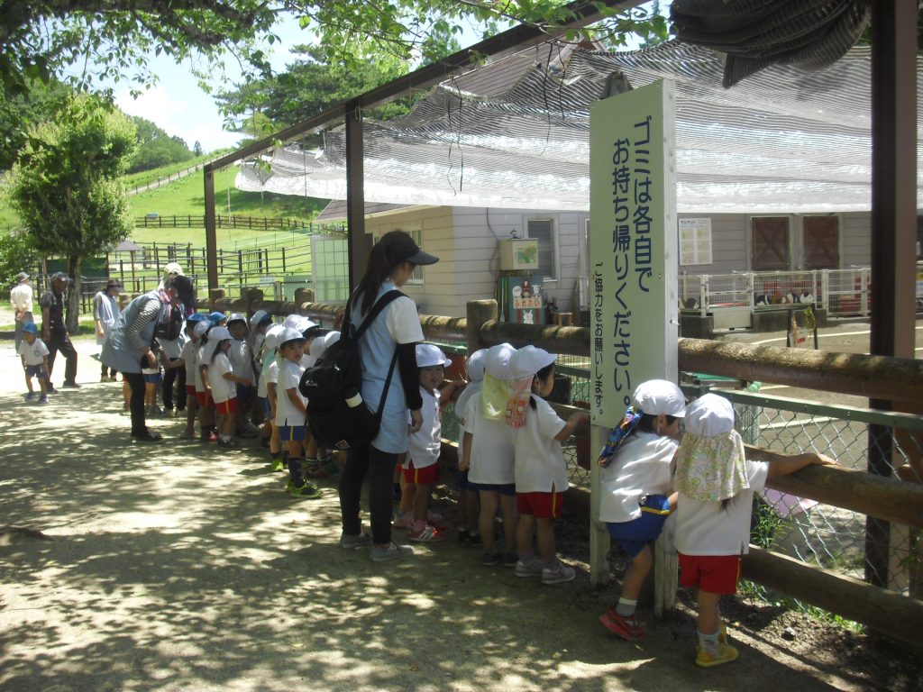 まふみ幼稚園のブログ