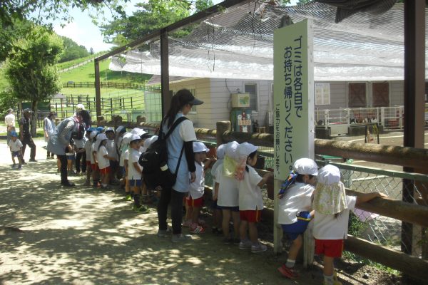 まふみ幼稚園のブログ