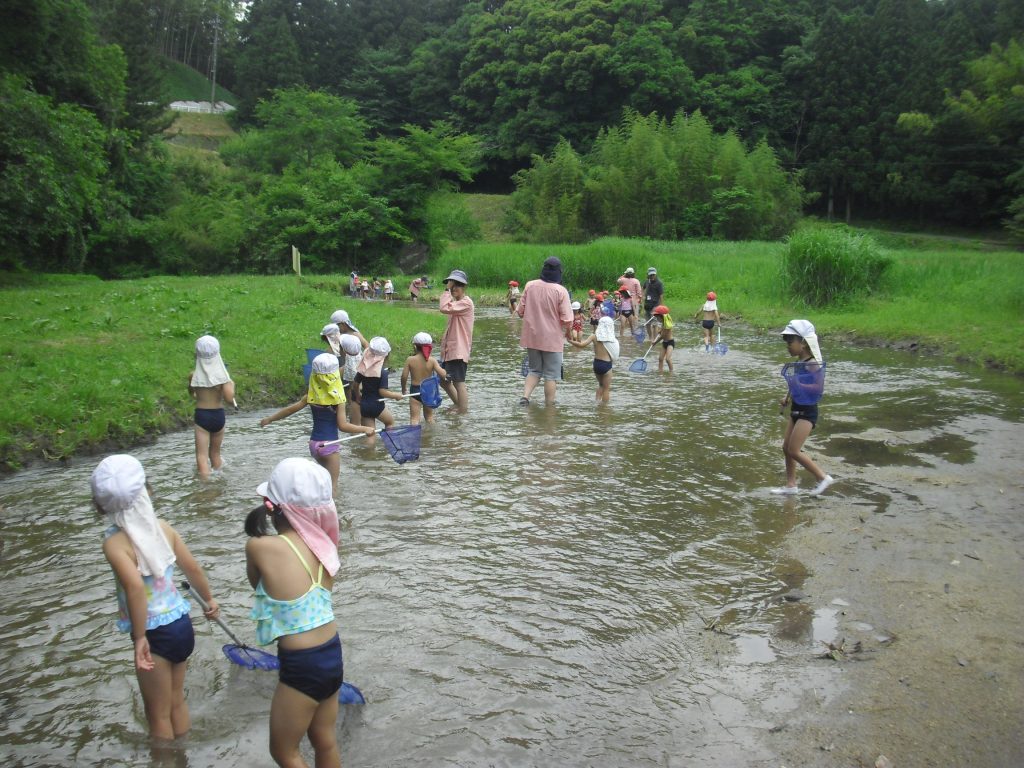 まふみ幼稚園のブログ