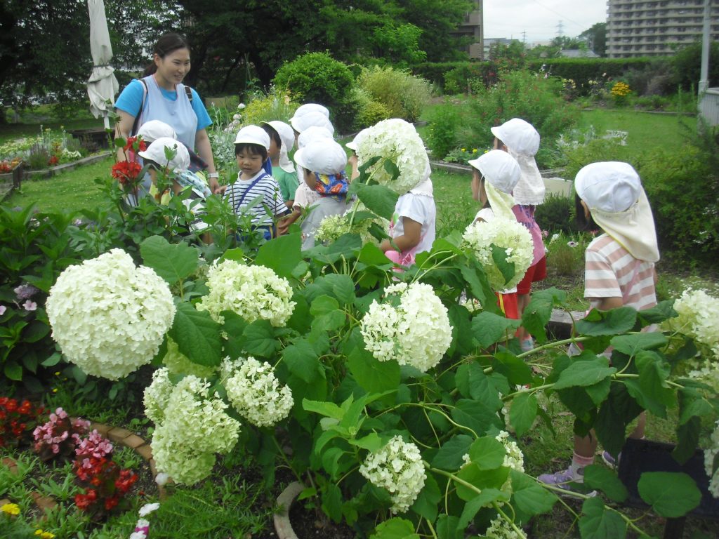 まふみ幼稚園のブログ