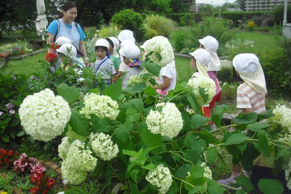 まふみ幼稚園のブログ