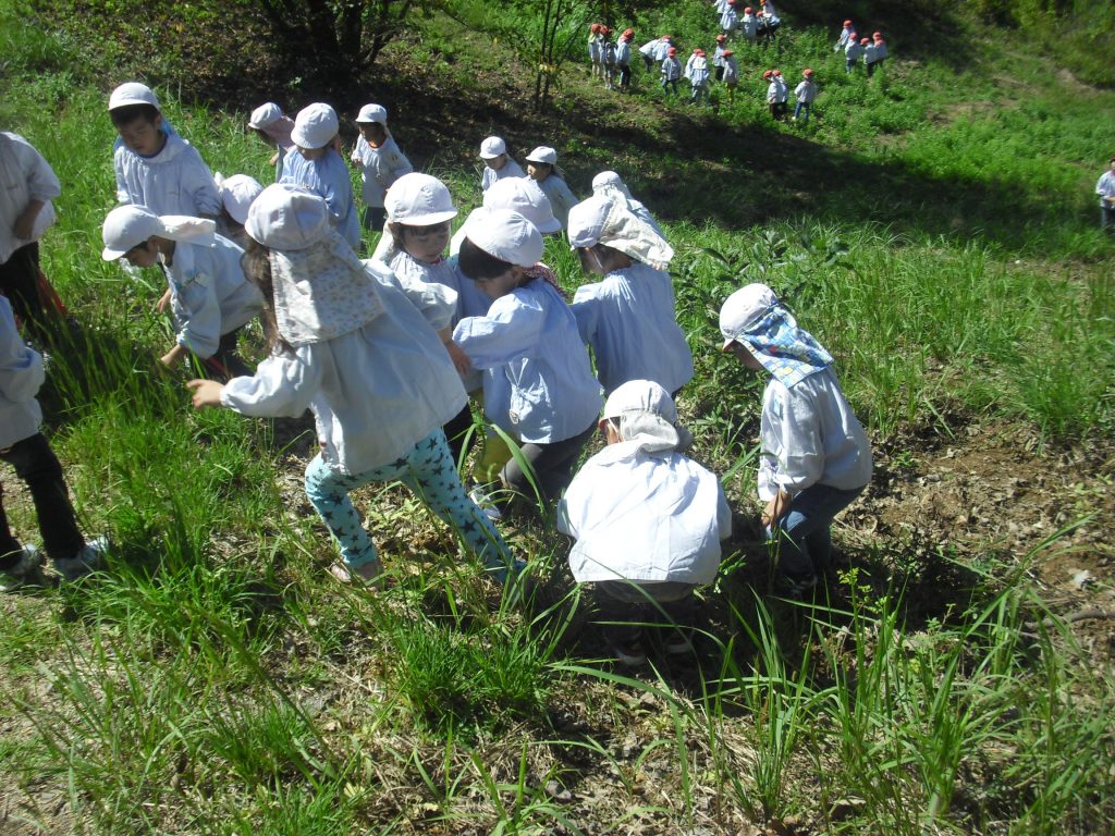 まふみ幼稚園のブログ