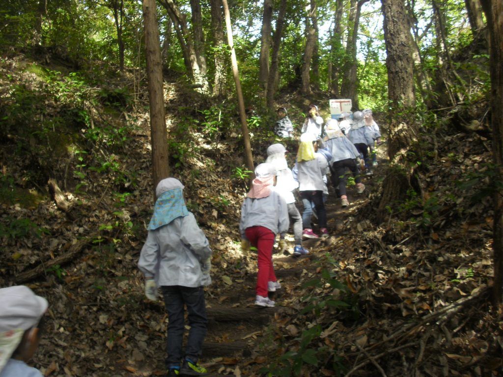 まふみ幼稚園のブログ