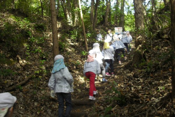 まふみ幼稚園のブログ