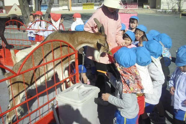 まふみ幼稚園のブログ