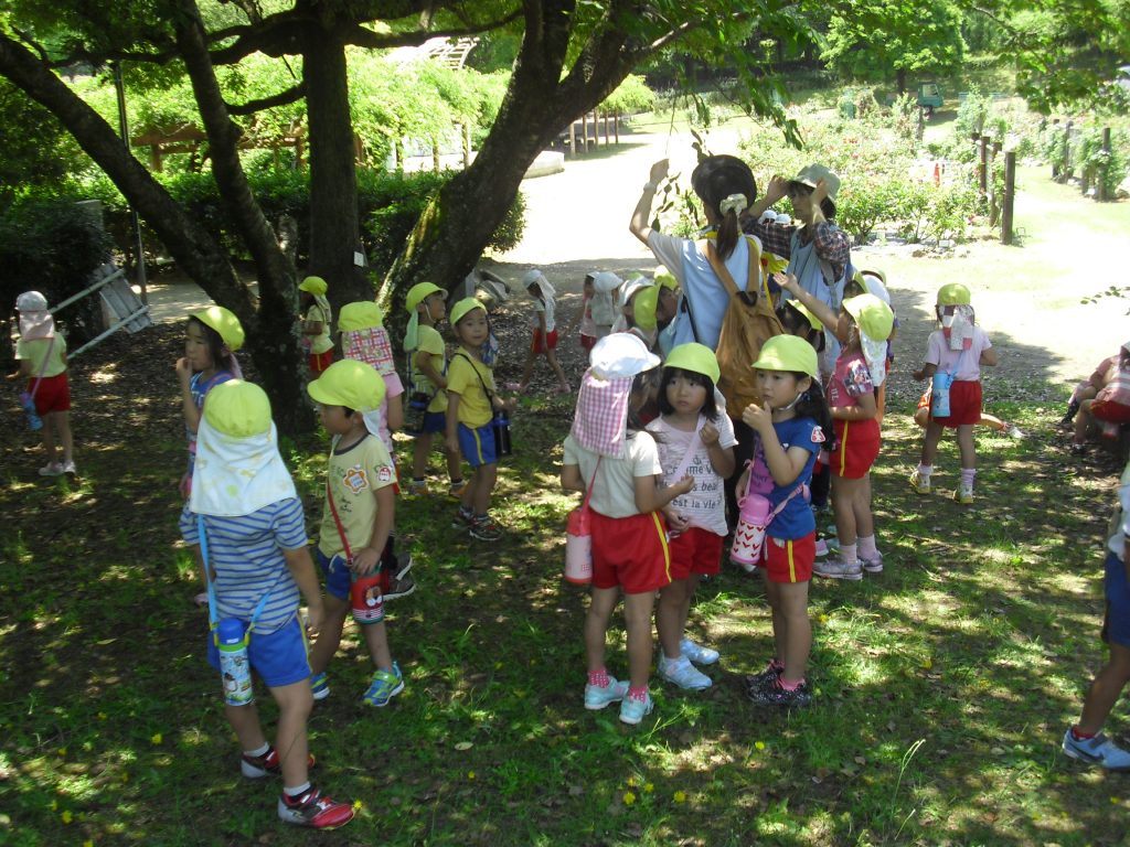 まふみ幼稚園のブログ