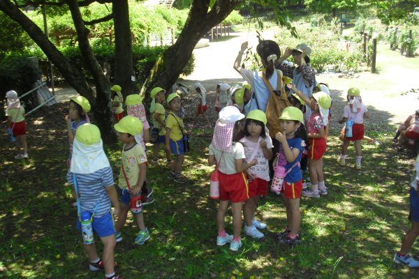 まふみ幼稚園のブログ