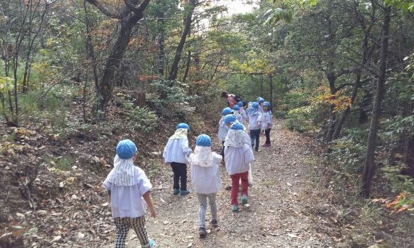 まふみ幼稚園のブログ