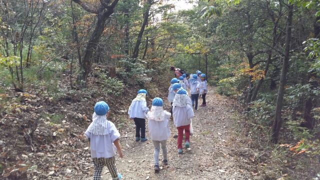 まふみ幼稚園のブログ