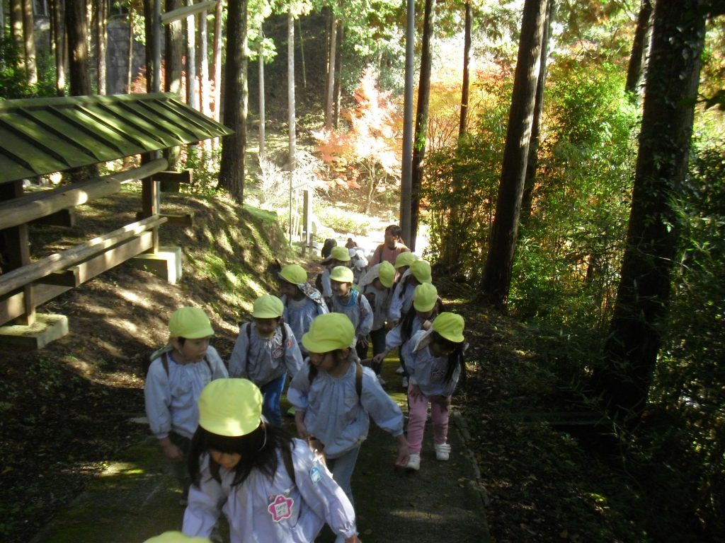 まふみ幼稚園のブログ