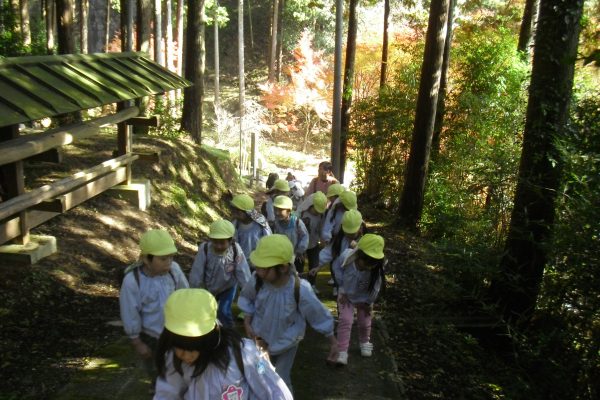 まふみ幼稚園のブログ