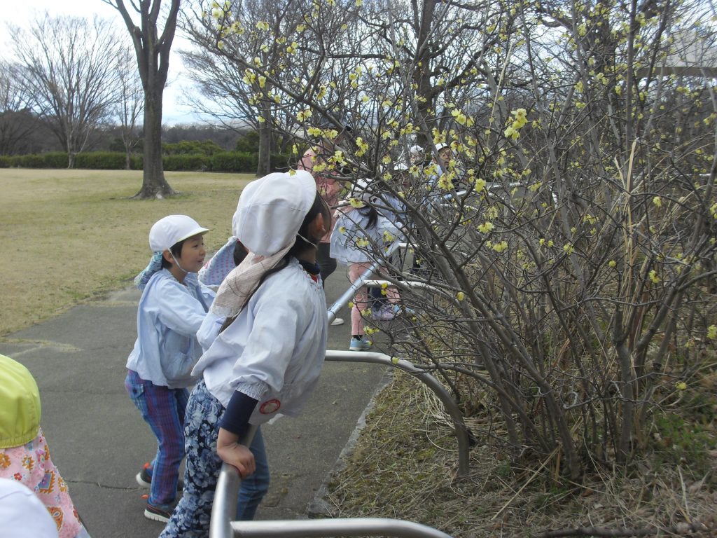 まふみ幼稚園のブログ