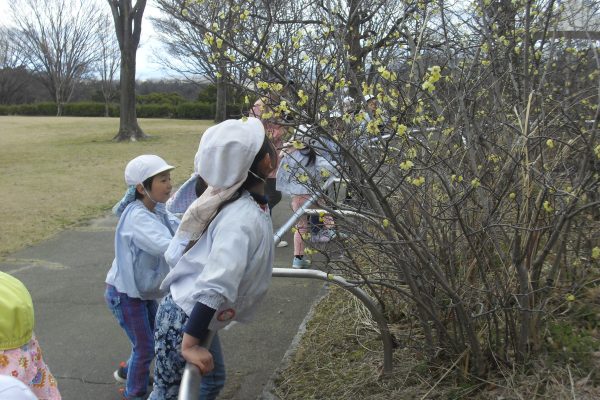 まふみ幼稚園のブログ