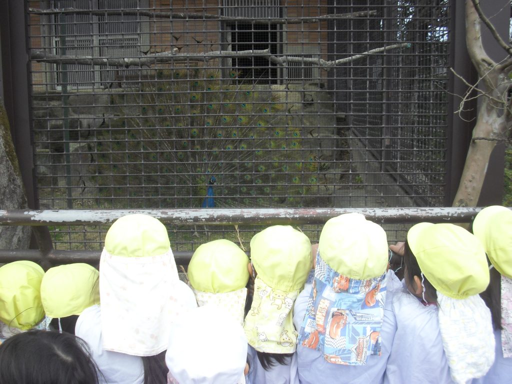 まふみ幼稚園のブログ