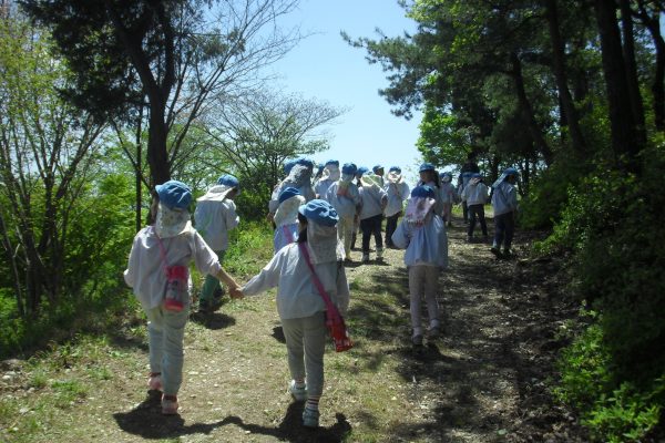 まふみ幼稚園のブログ