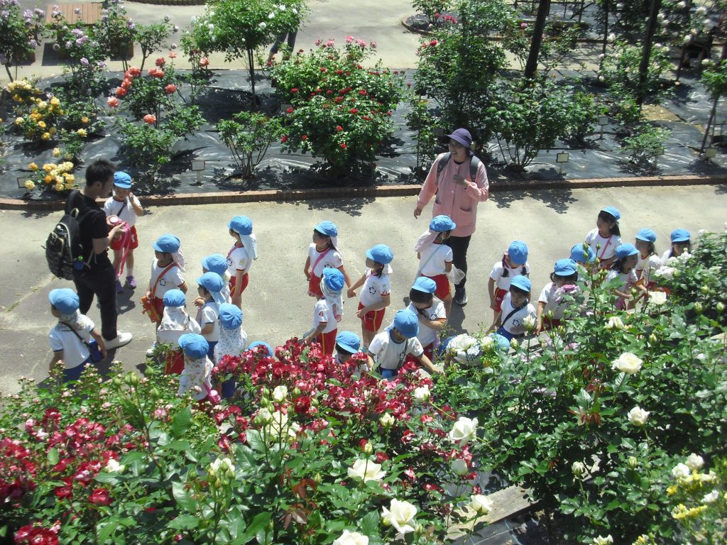 まふみ幼稚園のブログ