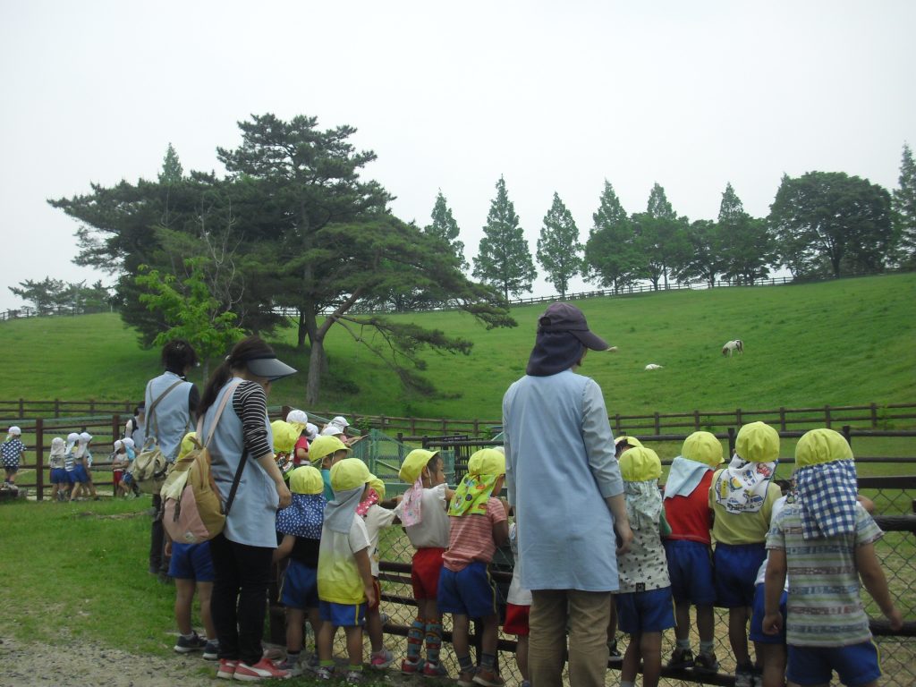 まふみ幼稚園のブログ