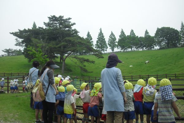 まふみ幼稚園のブログ