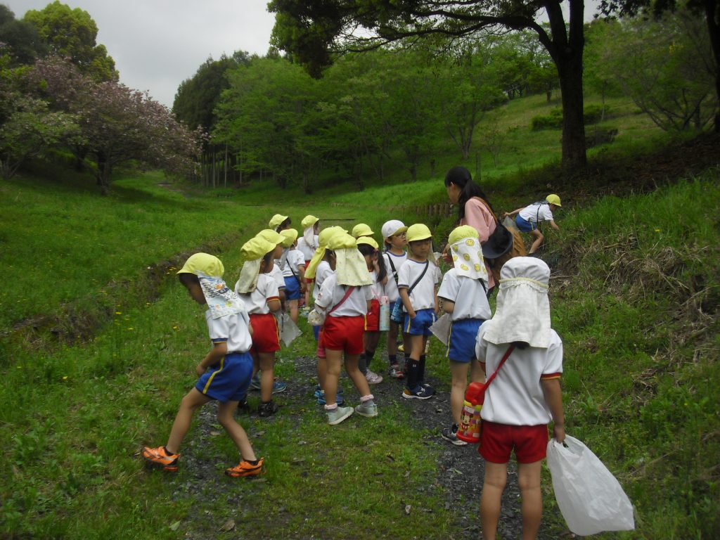 まふみ幼稚園のブログ