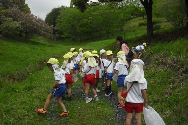 まふみ幼稚園のブログ