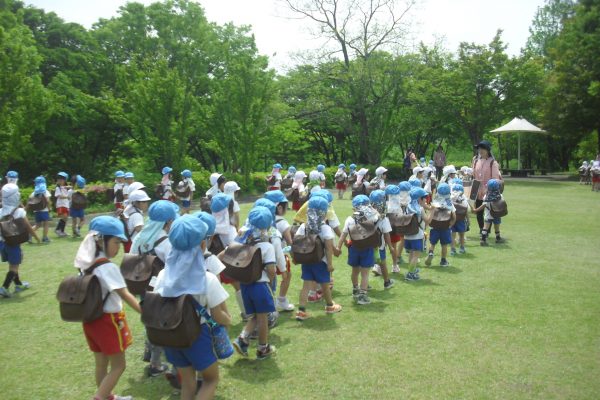 まふみ幼稚園のブログ