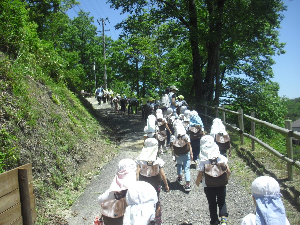 まふみ幼稚園のブログ