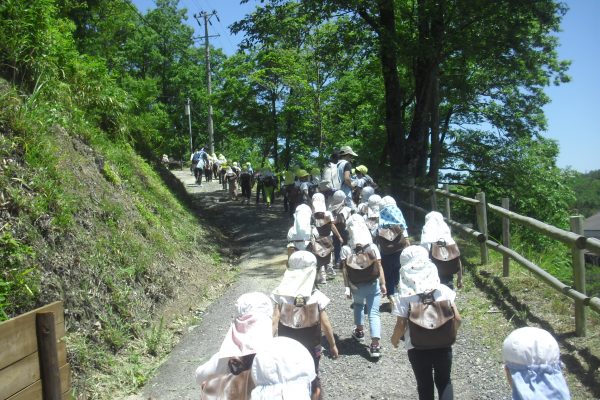 まふみ幼稚園のブログ