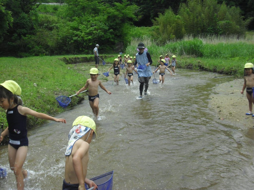 まふみ幼稚園のブログ