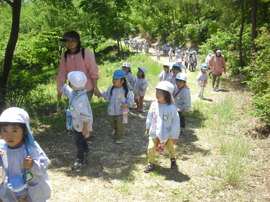 まふみ幼稚園のブログ