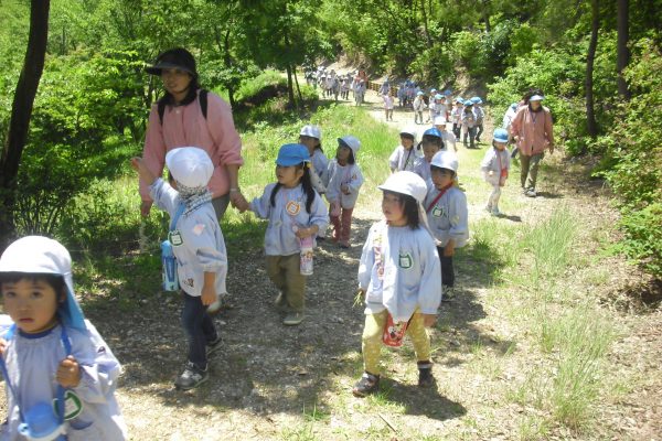 まふみ幼稚園のブログ