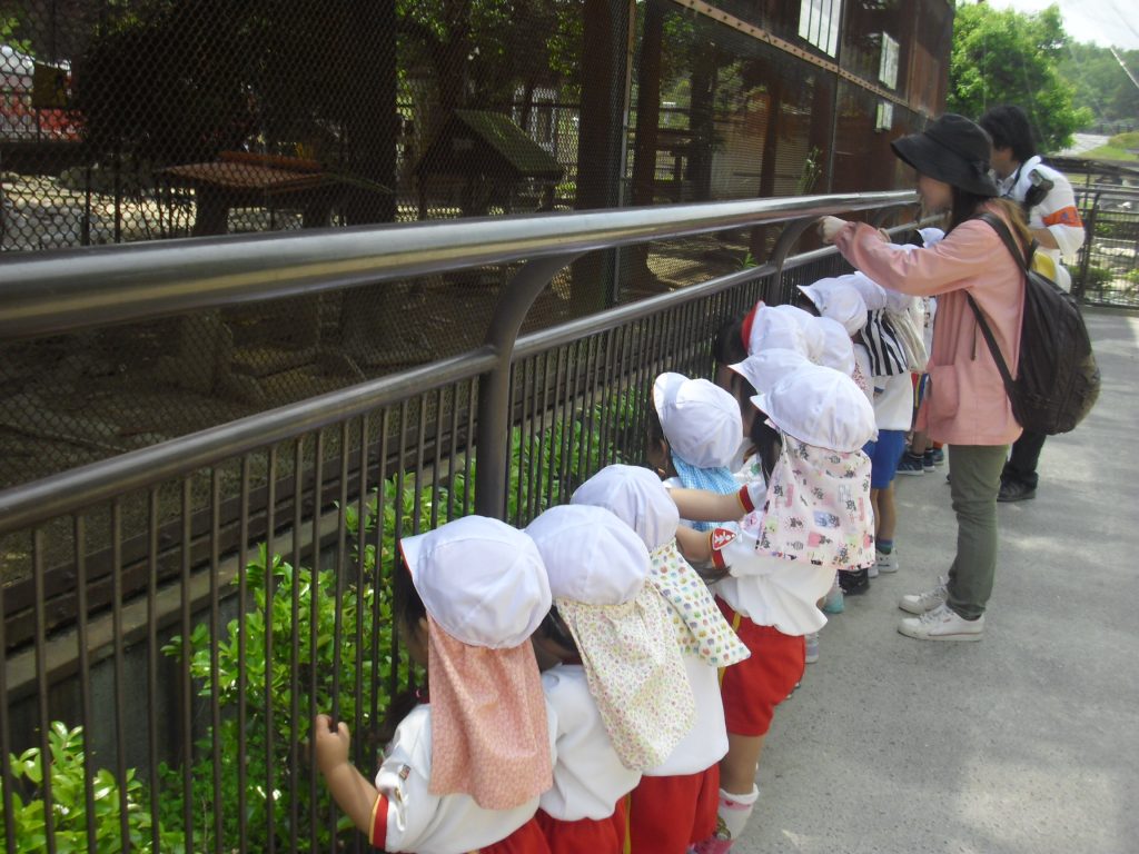 まふみ幼稚園のブログ