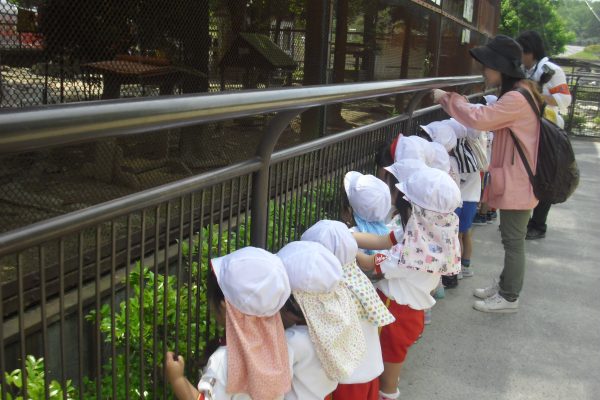 まふみ幼稚園のブログ